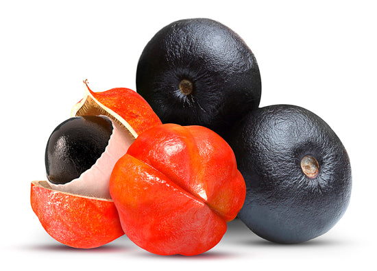 KERAGLOW | Tanino Glow | Lissage protéine de soie - 1L